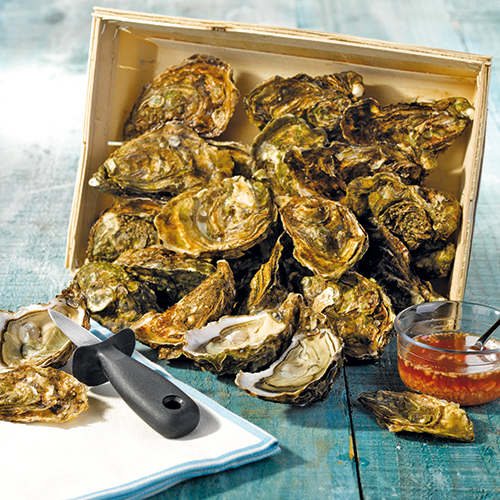 HUÎTRES CREUSES BRETONNES N°3