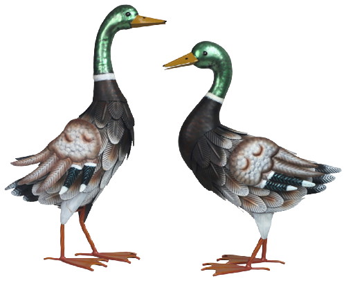 CANARDS DE DECORATION 1395861920500 CANARDS DE DECORATION 1395861920500