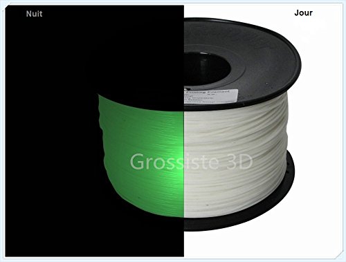 Grossiste3D® Filament 3D Phosphorescent Vert PLA 1.75 mm pour imprimante 3D Bobine de 1 Kg Grossiste3D® 1461454566211 (1461454566211)