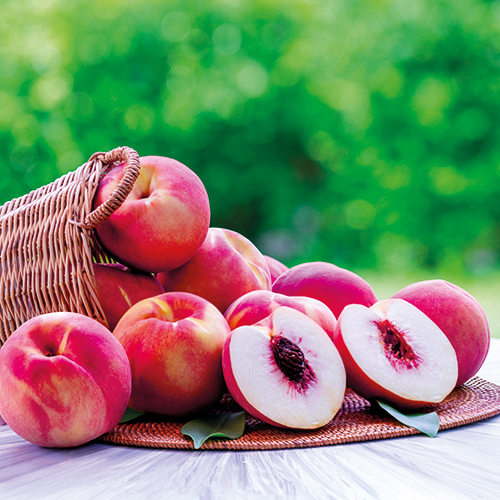 VERGER DES ALOUETTES PÊCHES ET NECTARINES JAUNES ET BLANCHES code EAN 1473737 