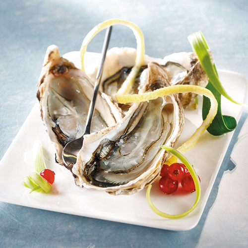 HUÎTRES CREUSES DE PAIMPOL N°4