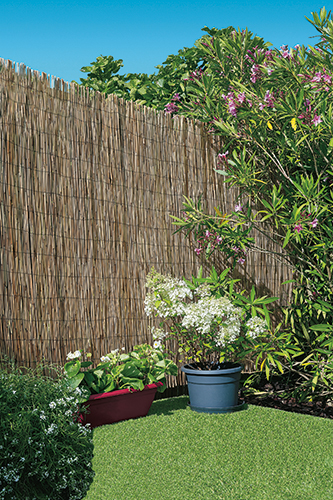 PAILLON PELÉ 1524201 BEAUX JOURS