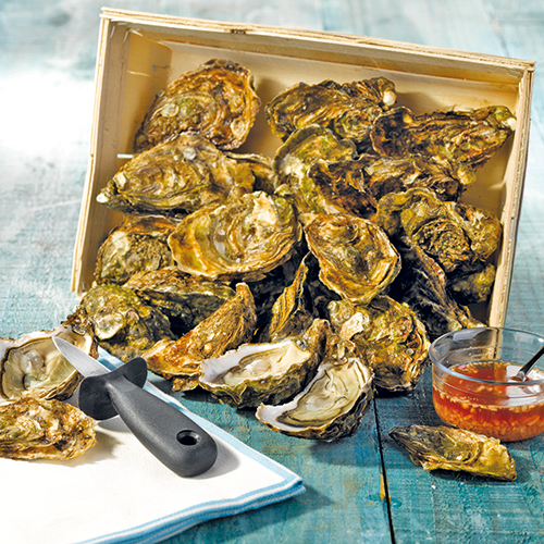 HUÎTRES CREUSES N°3