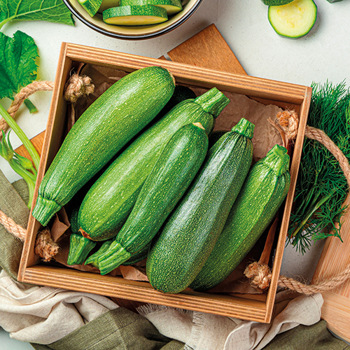 LES JARDINS DE L’HORTUS COURGETTE code EAN 1647179 