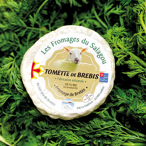 LES FROMAGES DU SALAGOU TOMETTE DE BREBIS code EAN 1653798 