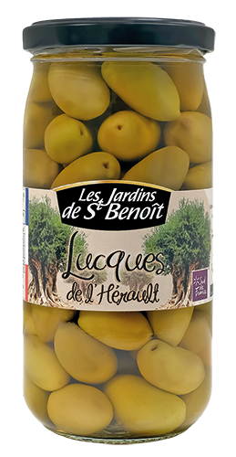 OLIVES PITCHOLINES VERTES