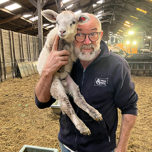  AGNEAU DES MONTS D’ARRÉE ÉLEVEUR D’AGNEAUX À LOPEREC code EAN 1693852 