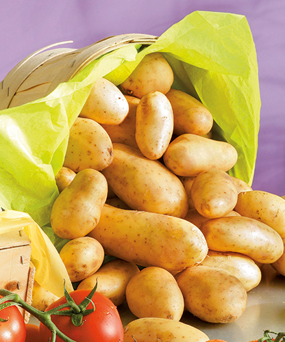 LA FERME DE KERVELOY POMMES DE TERRE DE CONSOMMATION À CHAIR FERME code EAN 1699999 