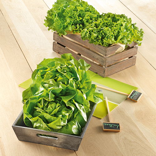 GAEC DE LA VILLE HERVIEUX SALADE code EAN 1714144 