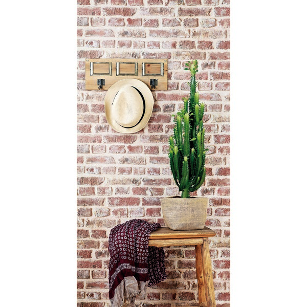  EUPHORBE code EAN 1804163000017 