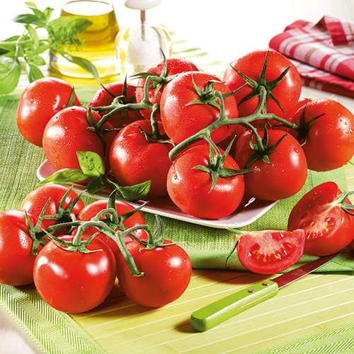  JORDAN HASCOET, MARAICHER À CLÉDER. DÉCOUVREZ LES TOMATES “LE 13” code EAN 1879777 