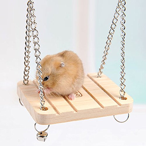 Petit balancoire en bois joux d'escalade pour hamster lapin souris oiseaux perroquet jouets animaux balançoire suspendu en bois hamac cage accessoires 1904811534121 Hrph Petit balancoire en bois joux d'escalade pour hamster lapin souris oiseaux perroquet jouets animaux balançoire suspendu en bois hamac cage accessoires 1904811534121 Hrph