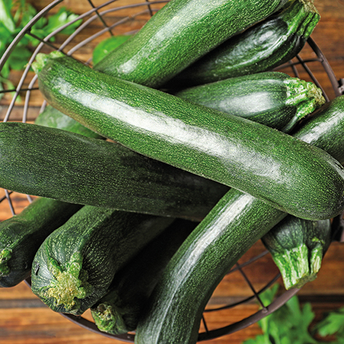  COURGETTE code EAN 1954268 