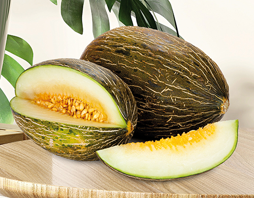  MELON VERT code EAN 2000000000011 