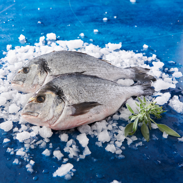  Dorade Royale Grattée Et Vidée code EAN 2000299010184 