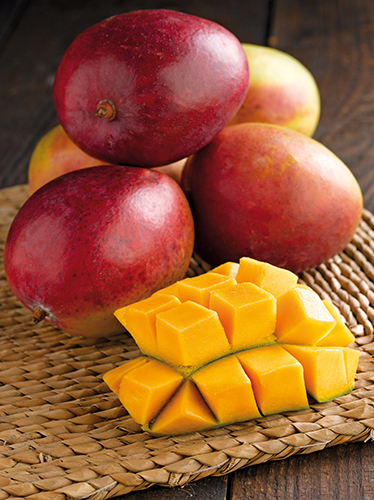 MANGUE 2030000000005 