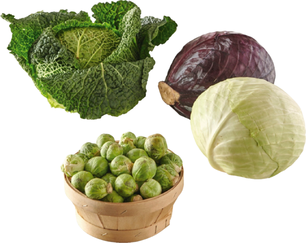 Foire Aux Choux 2030500418867 SANS MARQUE