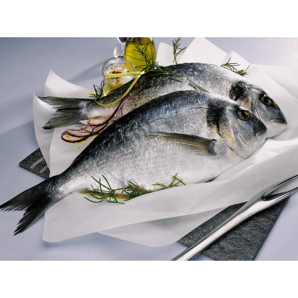  Daurade Royale code EAN 2030503992722 