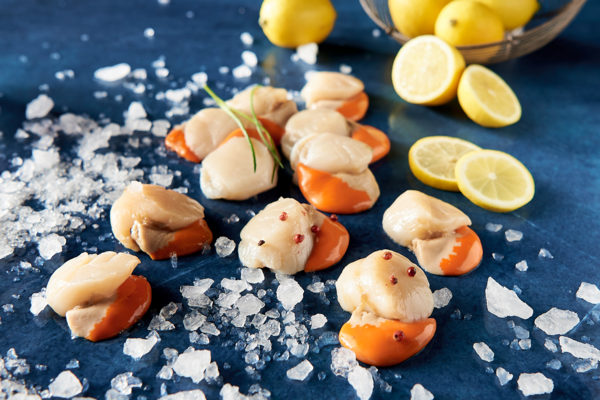 SANS MARQUE Noix De Saint-Jacques code EAN 2030506495572 