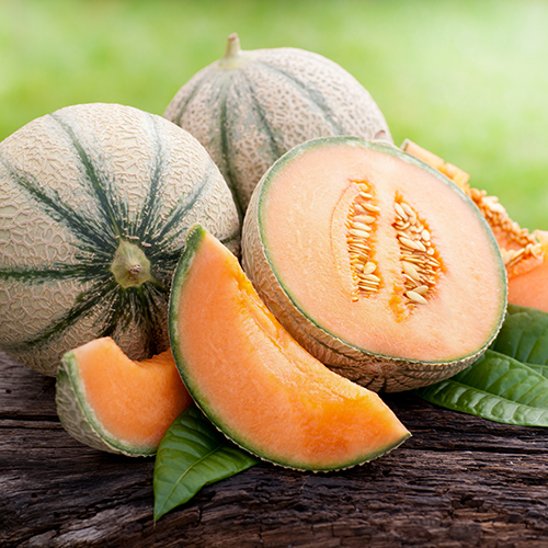 DAVID FABREGUA MELON CHARENTAIS code EAN 2032333 