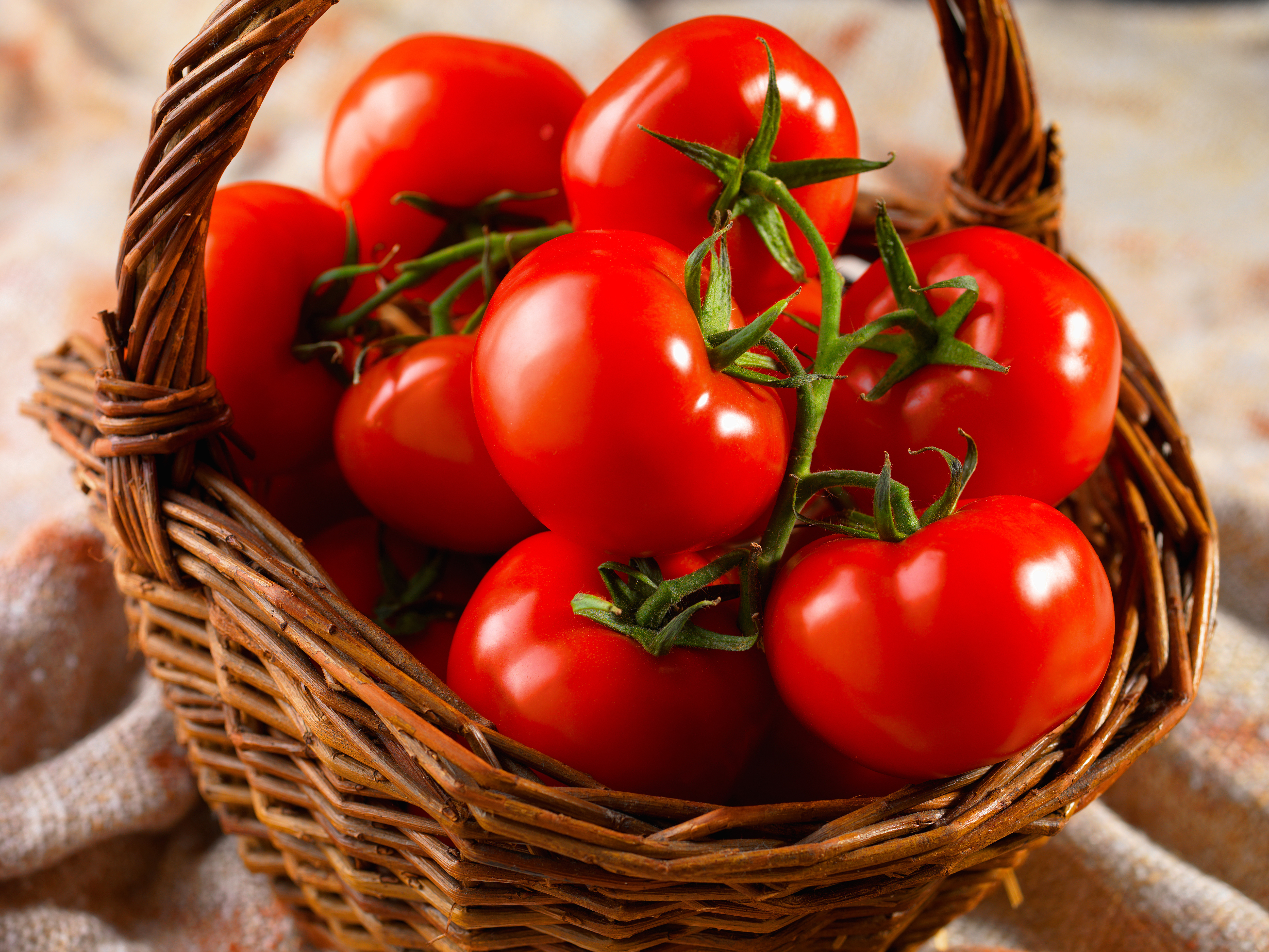  TOMATE GRAPPE code EAN 2040000000003 