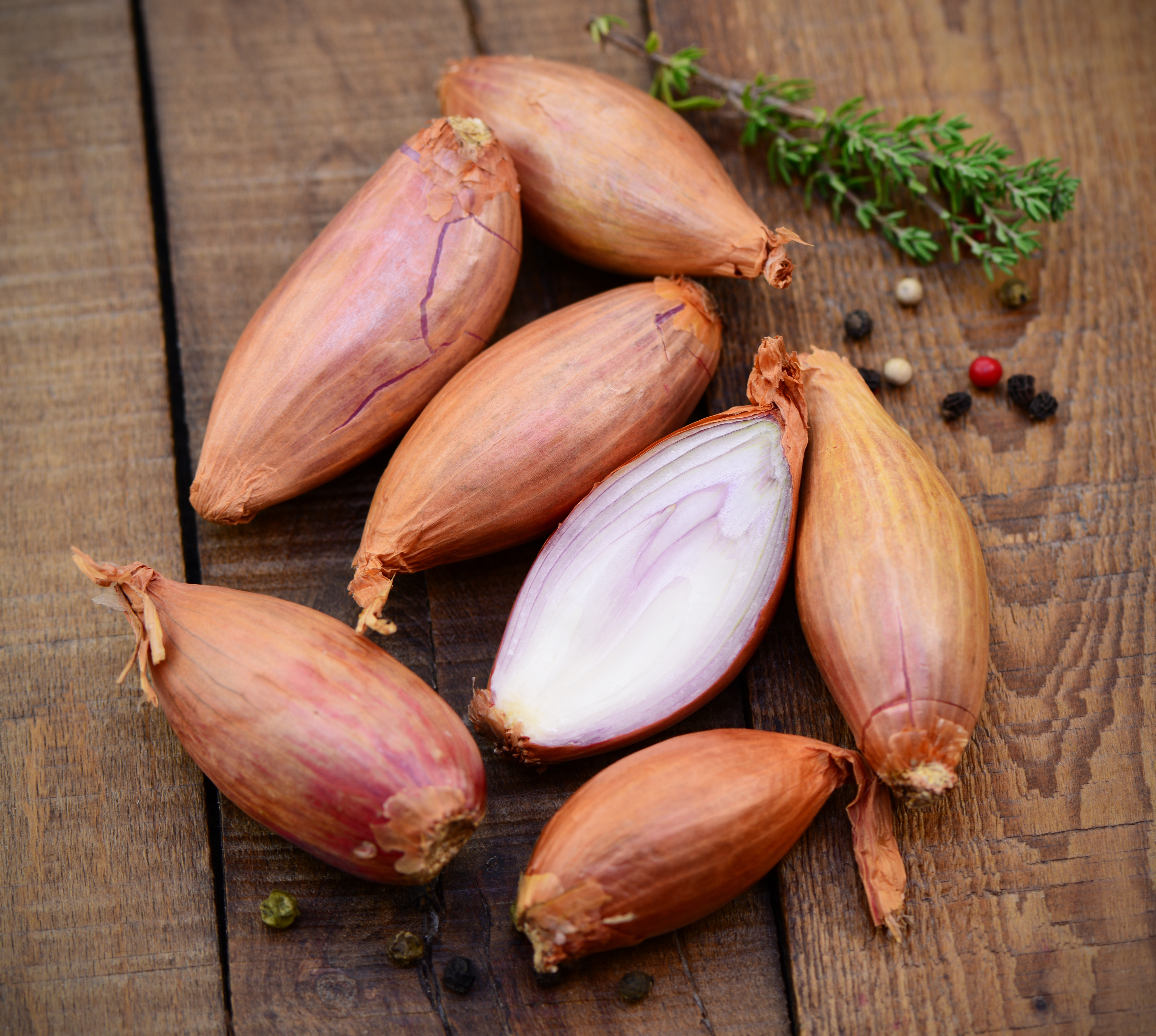  ÉCHALOTE code EAN 2040000000006 