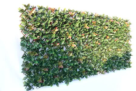 Treillis ETIR PF36 - 100x300cm 2070004581827 