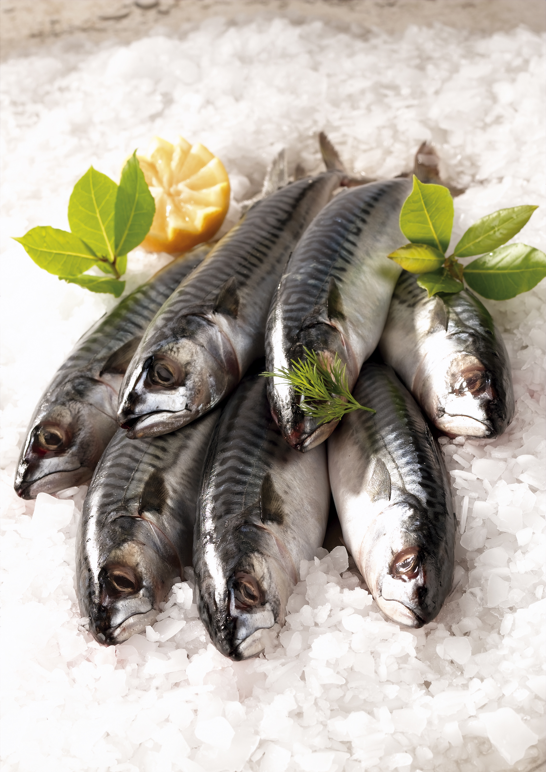  MAQUEREAUX code EAN 2071234567893 