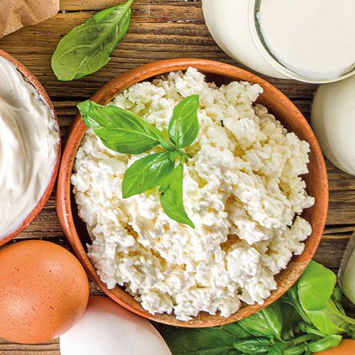 FERME DE FORGUES BROUSSE DE CHÈVRE BIO code EAN 2136008 