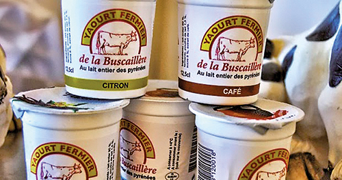 FERME DE LA BUSCAILLÈRE YAOURT FERMIER X2 code EAN 2145678 