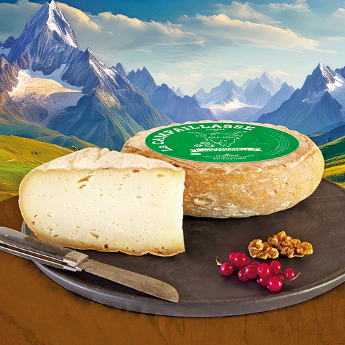 TOMME DES PYRÉNÉES IGP