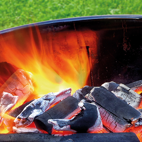 CBDTA CHARBON DE BOIS code EAN 2154848 