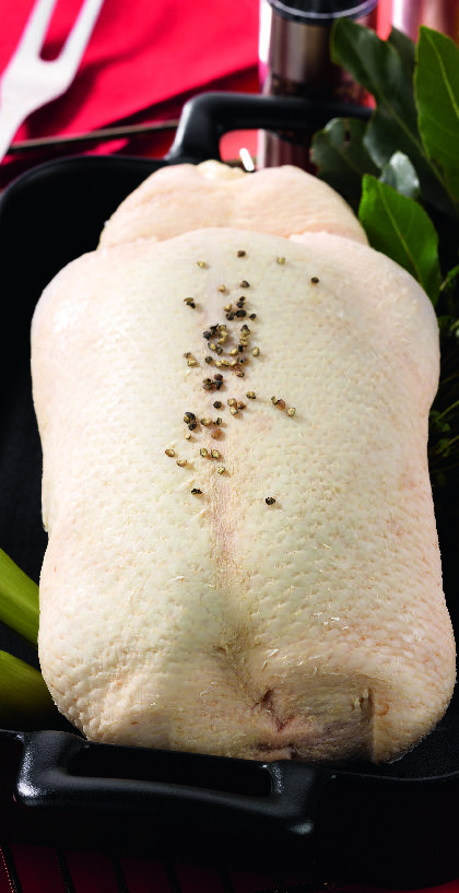 CANETTE FERMIÈRE "LOUÉ" 217107 