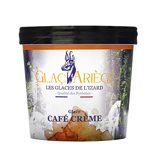 LES GLACES DE L’IZARD GLACE OU SORBET code EAN 2185788 