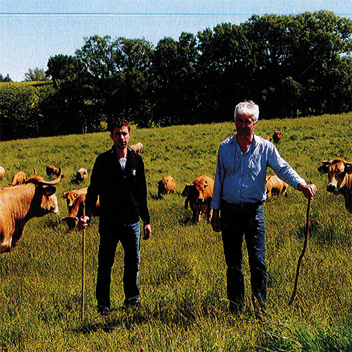 Maison SUDRIÈS ÉLEVEURS DE BOVINS À FALGUIÈRES code EAN 2369333 