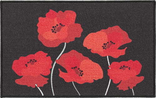  TAPIS RECTANGLE code EAN 2560259301382 