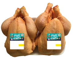 POULETS JAUNES