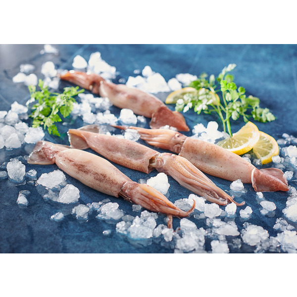 Encornet Rouge Frais  2811158000000 