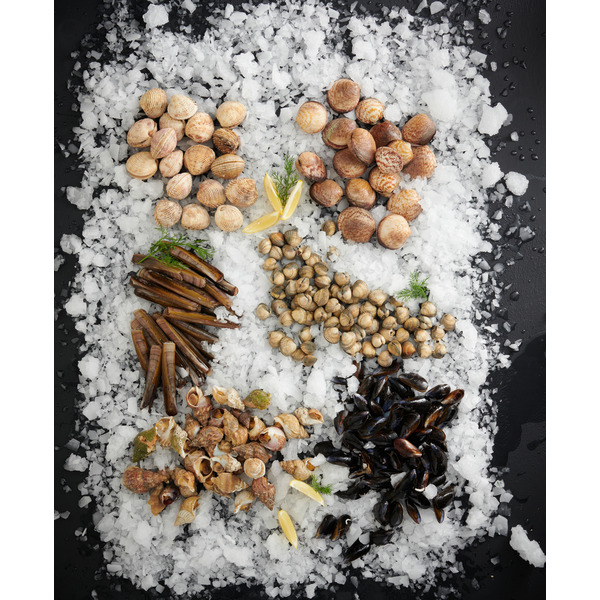 Amandes 2811249000000 