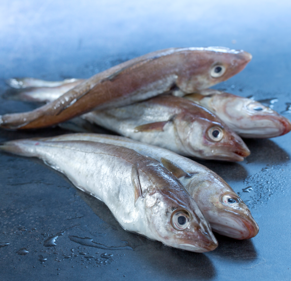  Merlans code EAN 2812705000000 