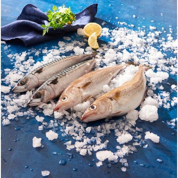  Tacauds Ou Maquereaux code EAN 2812720000000 