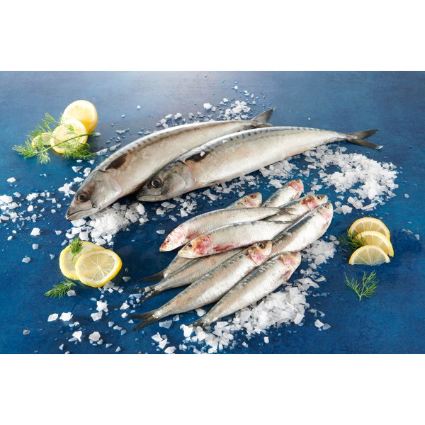  Maquereaux Ou Sardines code EAN 2812748000000 