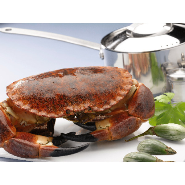  Tourteau code EAN 2812794000000 