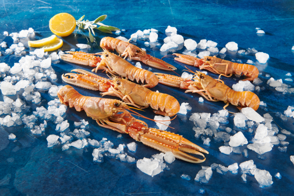  Langoustines Cuites code EAN 2812808000000 