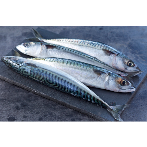  Maquereaux code EAN 2815383000000 