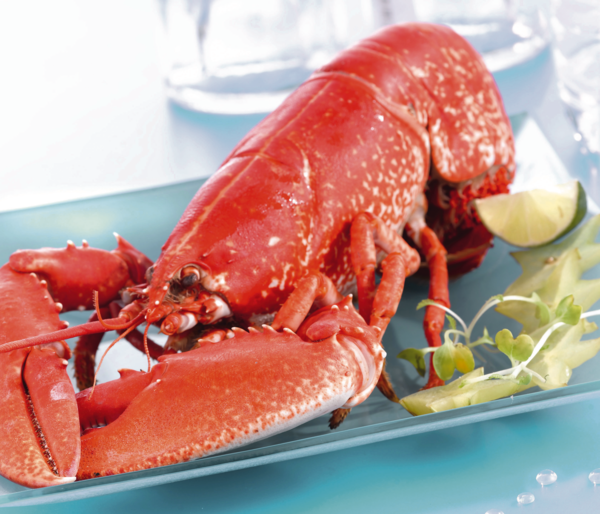  Homard Européen Cuit Coupé code EAN 2815409000000 