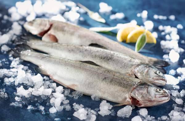 AUCHAN CULTIVONS LE BON Truite Portion Filière Auchan "Cultivons Le Bon" code EAN 2815422000000 