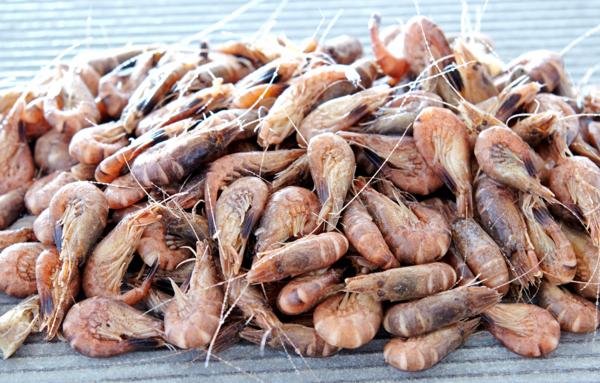  Crevettes Grises Cuites code EAN 2815445000000 