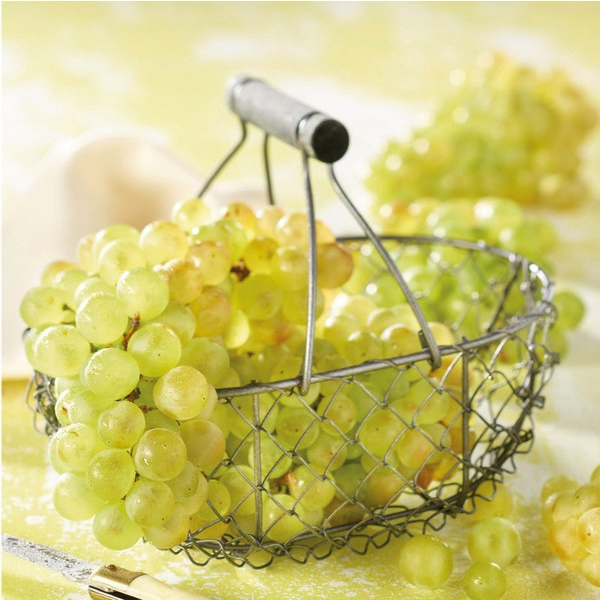  RAISIN BLANC CHASSELAS code EAN 3000000035900 