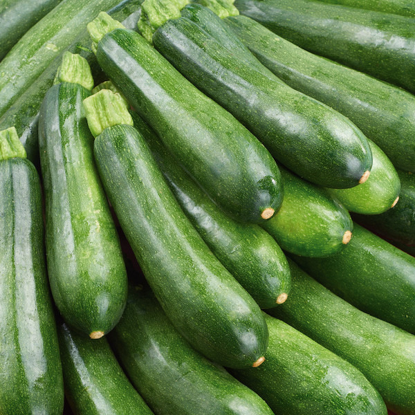 Courgette  3000000038857 (3000000038857)